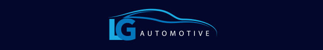 VROOM GROUP